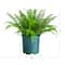 23in. UV Resistant Artificial Boston Fern Plant with Real Touch Leaves (Indoor/Outdoor)